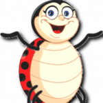 Bug