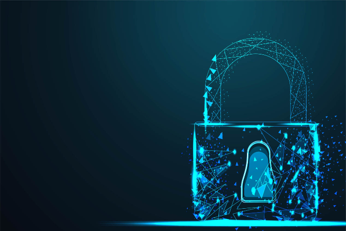 Digital Vault System