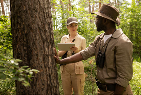 Forest Inventory Data App